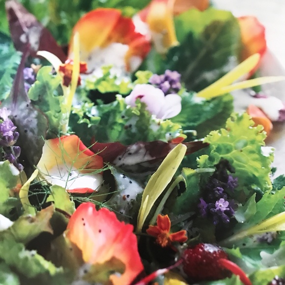 ANITA STEWART'S CANADA THE FOOD, THE RECIPES, THE STORIES - Picture 14 of 16